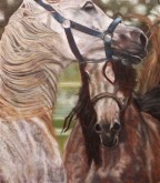 De paarden van mijn dochter 50   x   40 cm Debora Brouwer